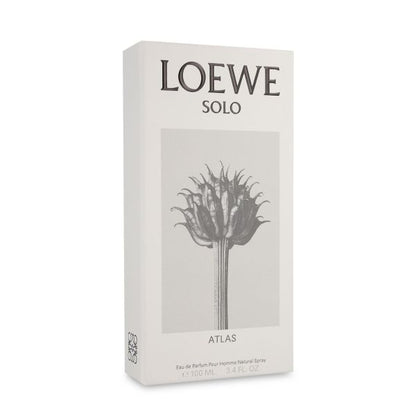 Loewe Solo Atlas