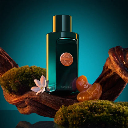 Antonio banderas icon attitude