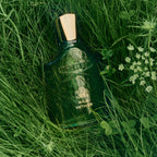 Creed Wild Vetiver