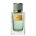 Dolce & Gabbana Velvet Infusion