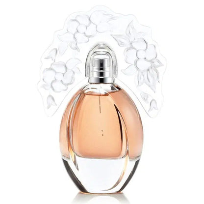 One Day In Provence Reyane Tradition