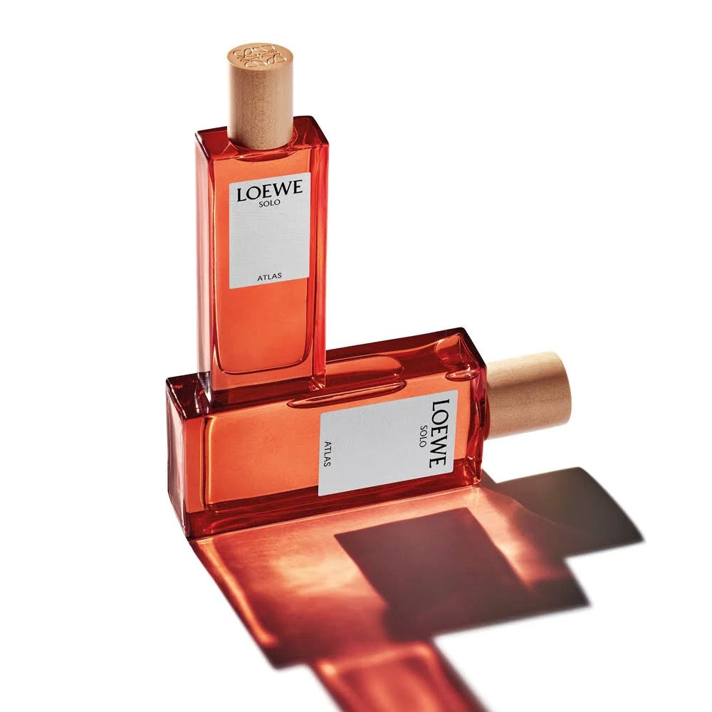 Loewe Solo Atlas