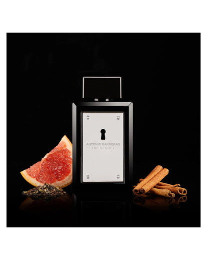 Antonio Banderas The Secret